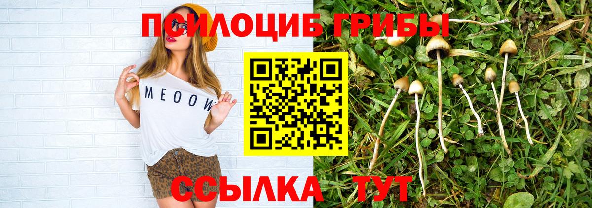 Псилоцибиновые грибы Magic Shrooms Рубцовск
